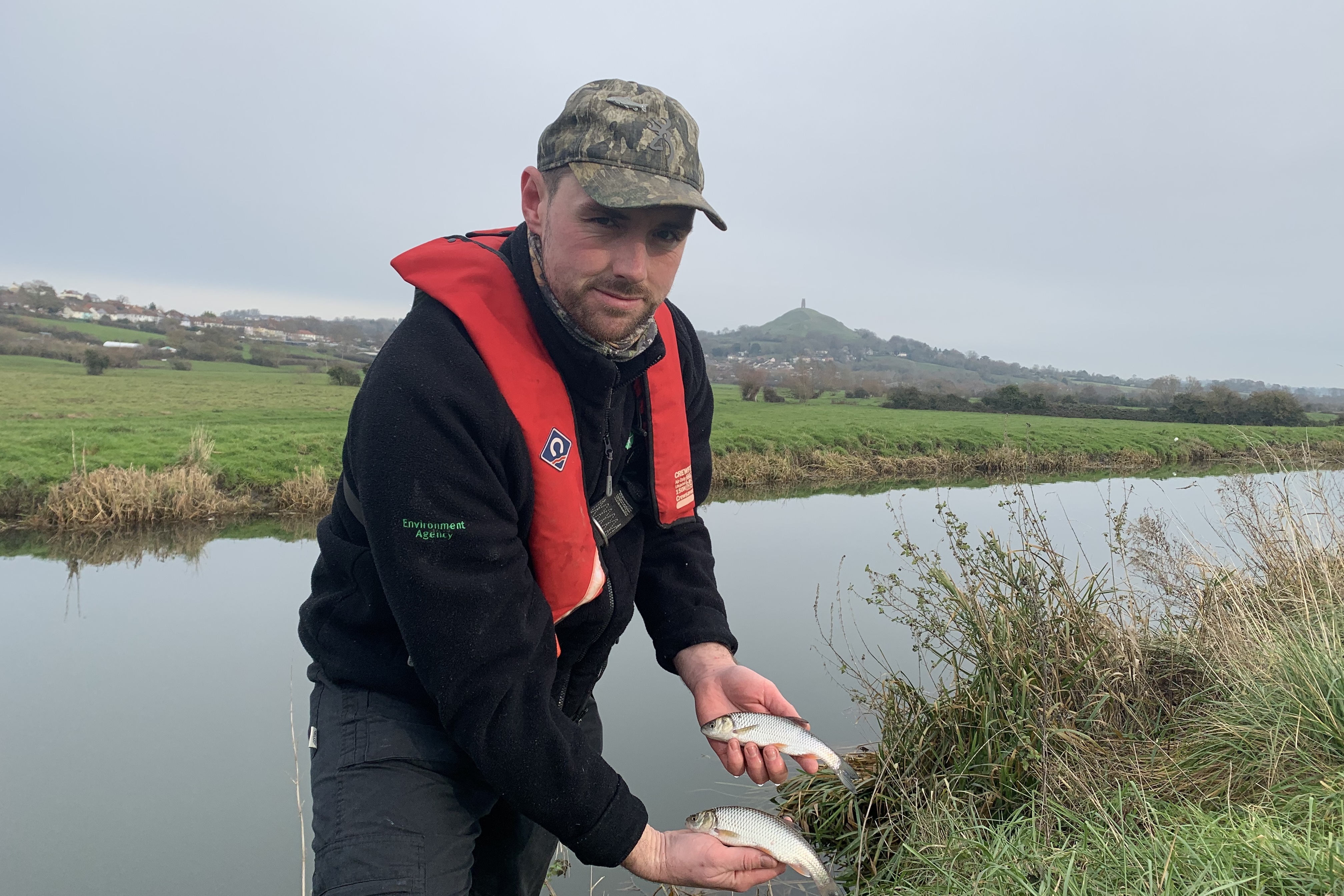 Somerset fish numbers get Christmas boost - GOV.UK