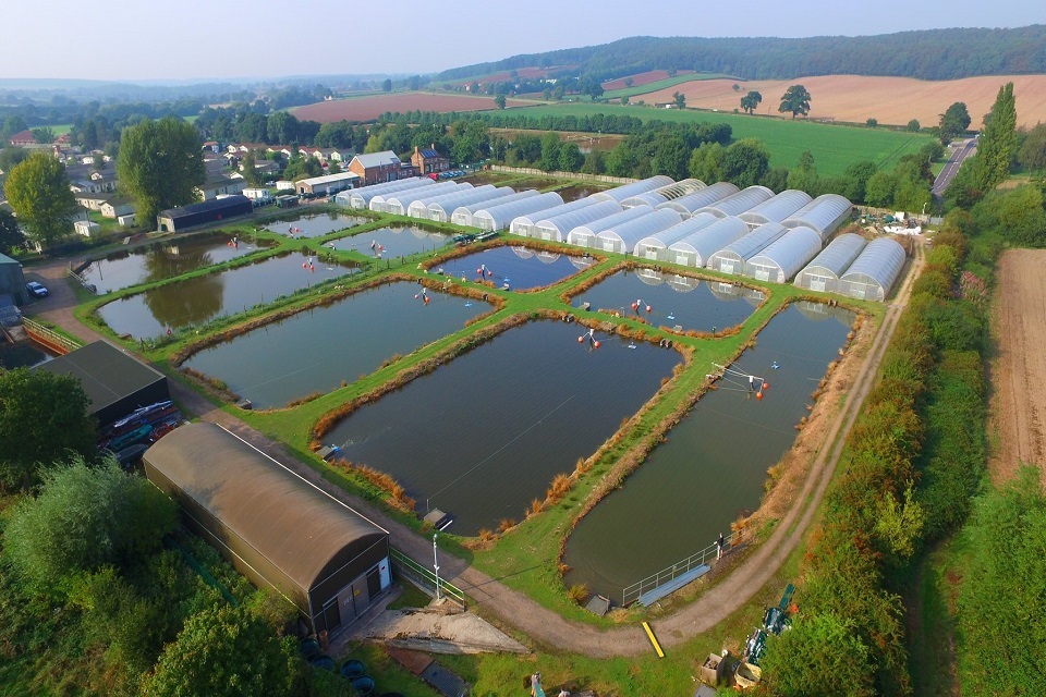 A cracker of a Fishmas stocking