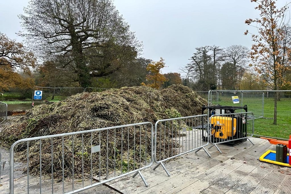 A huge pile of floating pennywort ready for composting