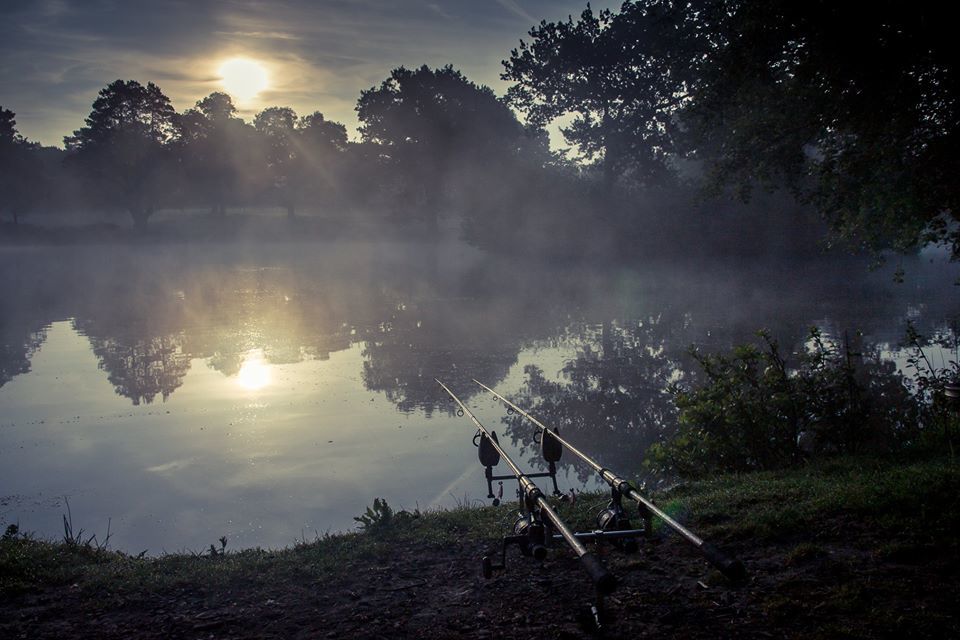 Scale up your fishery through the Fisheries Improvement Programme