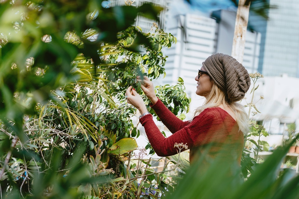 £3.6 million social prescribing funding for mental health support
