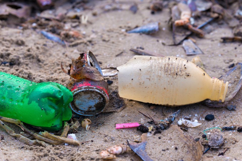 A hitchhiker’s guide to floating marine debris