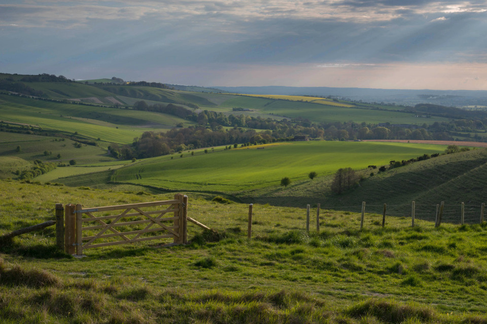 Government to pay more to farmers who protect and enhance the environment