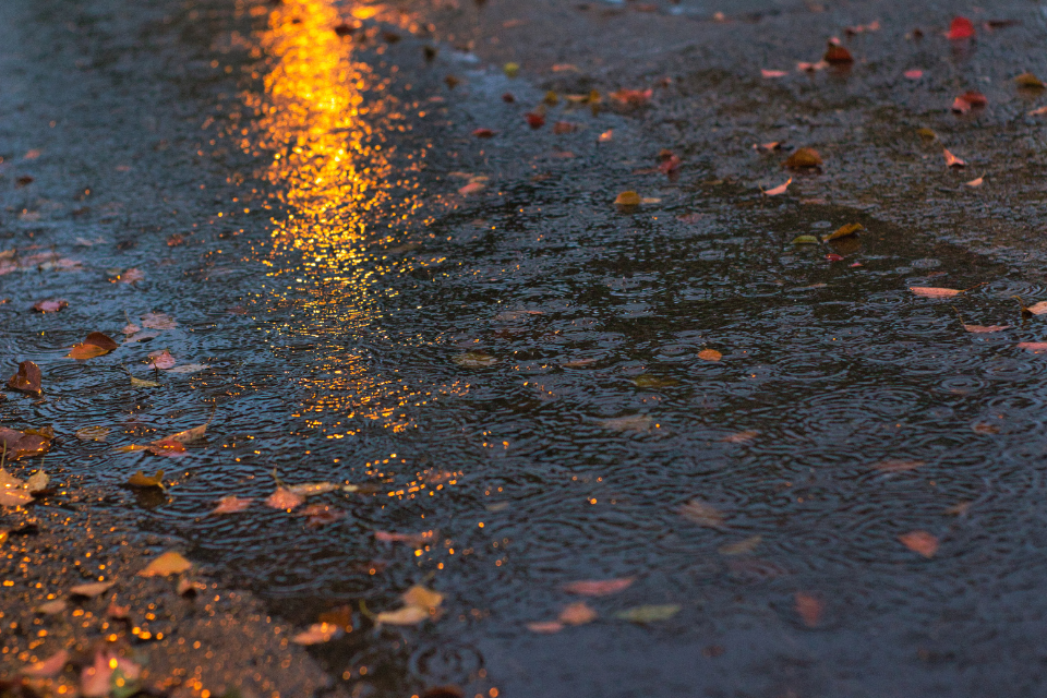 New approach to sustainable drainage set to reduce flood risk and clean up rivers?