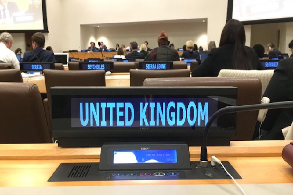 UN Committee