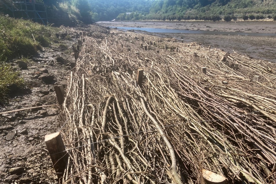 Images shows saltmarsh restoration project