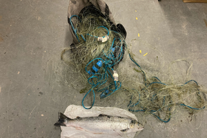 Fishing net seized with fish below