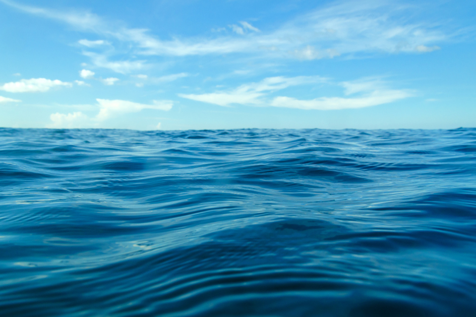 Vessel master fined for failing to declare catches