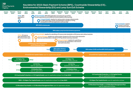 Ключевые даты RPA на 2023 год (доступная версия доступна на странице GOV.UK)