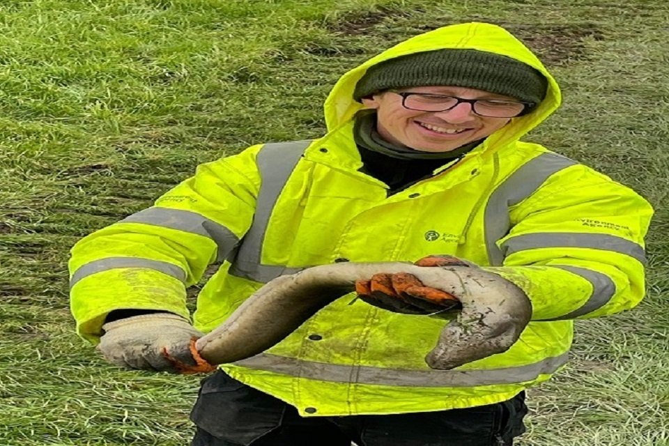 Working ‘eel y’ hard this winter to keep Kent rivers flowing