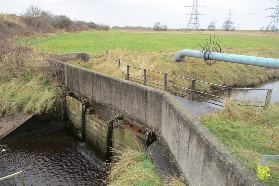 Greatham community invited to hear plans to restore parts of Greatham Marsh