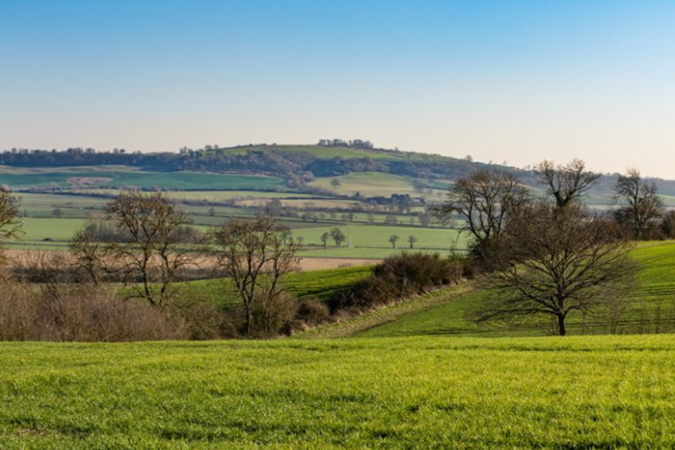 Seventh Woodland Carbon Guarantee auction dates announced