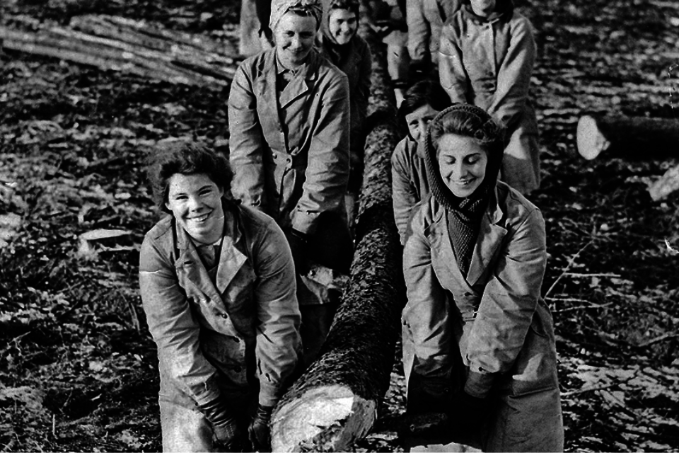 Exhibition celebrating women in forestry to open