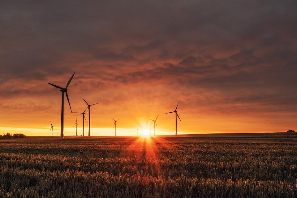 Finding my purpose in climate change work in government