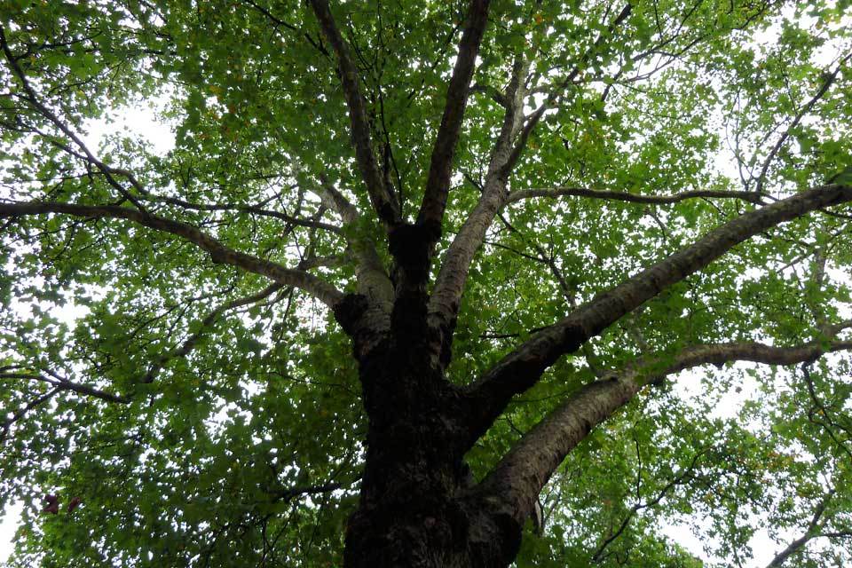 Levelling up funding to improve green spaces in Northern Ireland