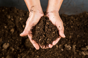 Close up of hands holding soil peat moss