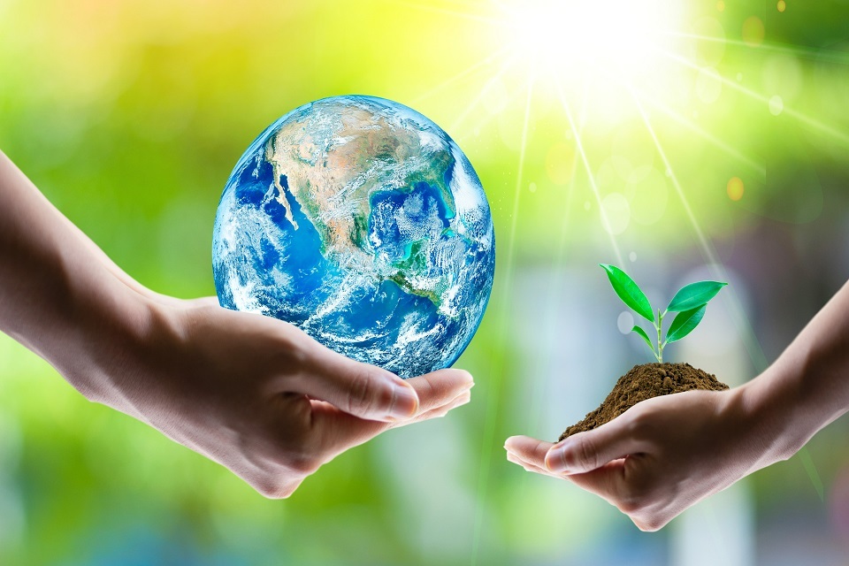 Climate and environment review of 2022