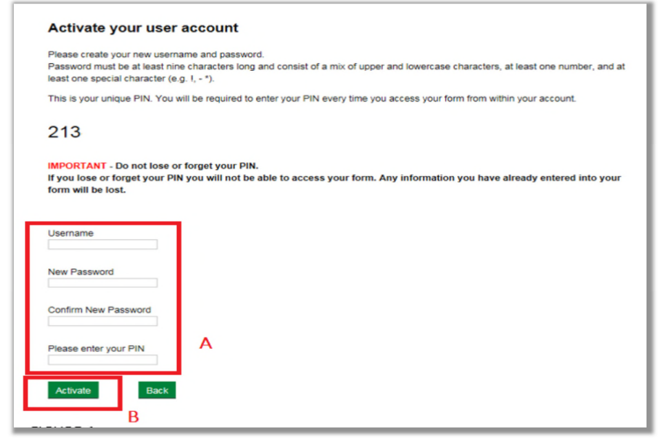 Screenshot of NSVS Account Activation screen showing how to set your password