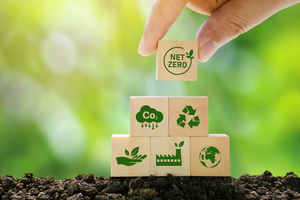 Net Zero and Carbon Neutral Concepts as building blocks