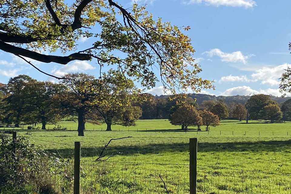 A Surrey landscape can be seen under bright blue skies. A fence is in the foreground, with trees on the left and in the middle distance. Cloudy skies above