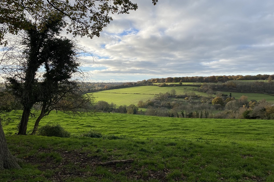 A Surrey landscape can be seen under bright blue skies, with a tree on the left-hand side and cloudy skies above