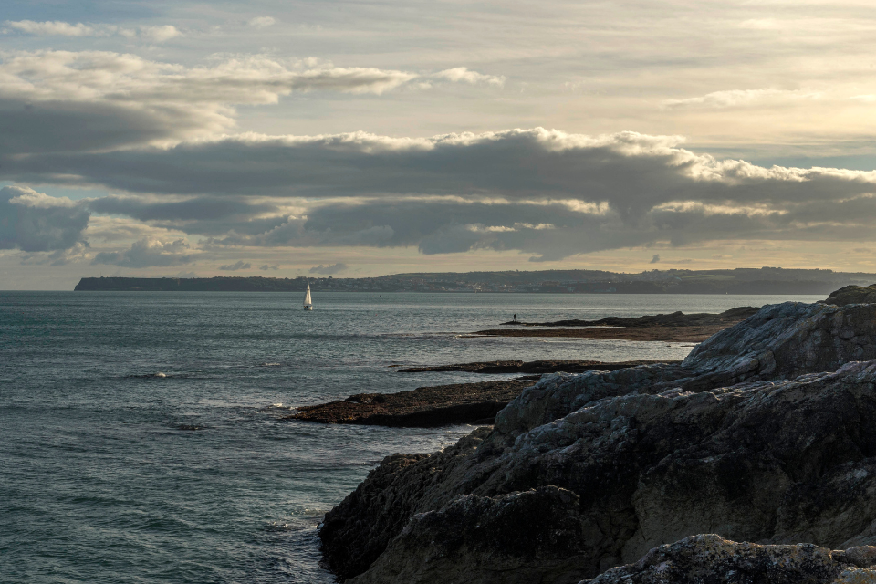 Countdown is on for scallop closure views