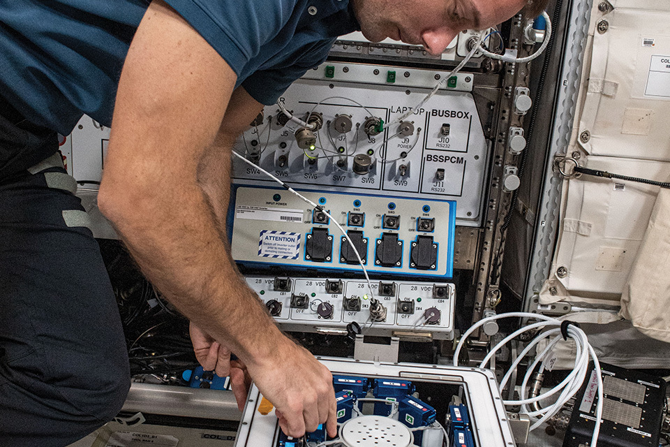 Experiments to study child brain tumours and muscle ageing heading to space