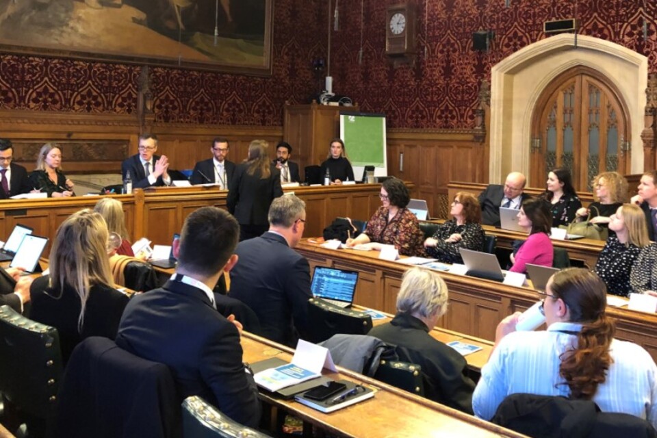 Solicitor General chairs Pro Bono Committee