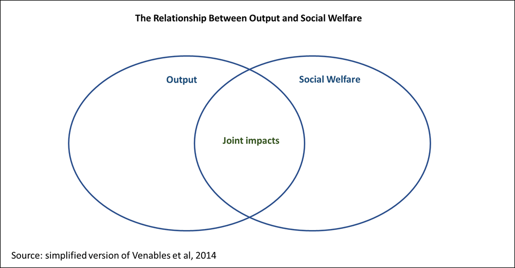 An output circle and a social welfare circle overlapping. It shows that they are different concepts although there is some overlap.  