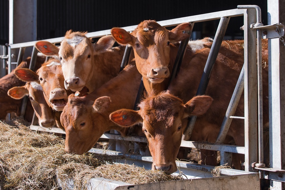 £9.13 million awarded to develop cutting edge farming technology