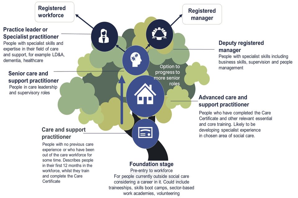 Tree diagram showing care workforce pathway outline