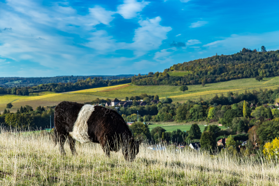 Green Finance Boost for Nature in UK