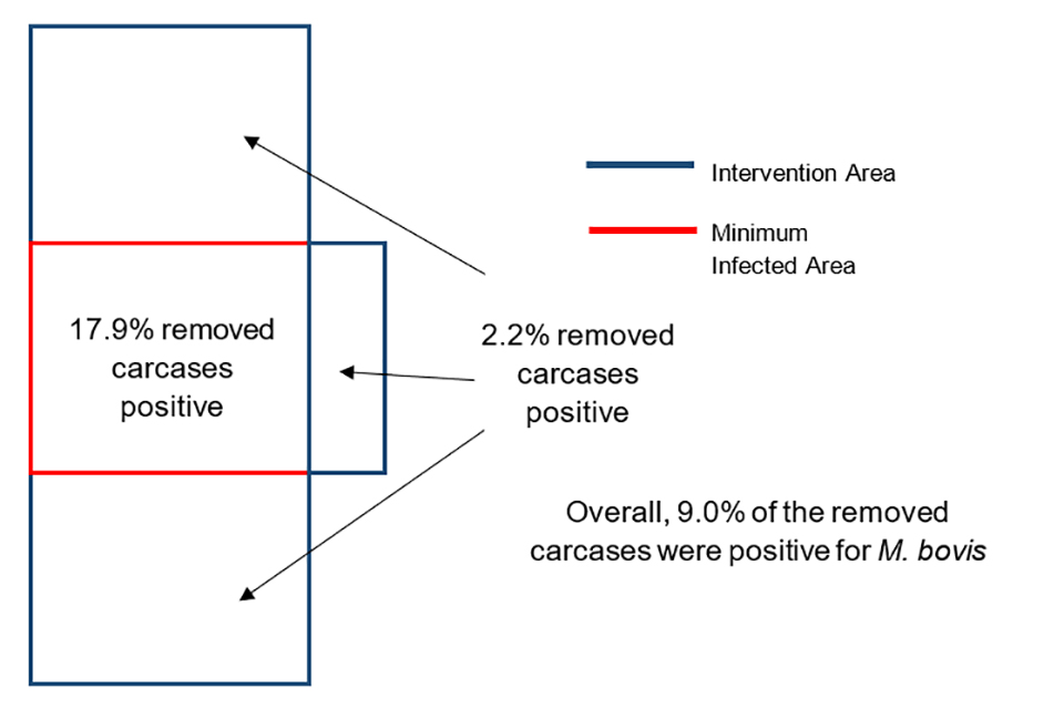Figure showing the distribution of infected badgers in Area 54, as described in the text.