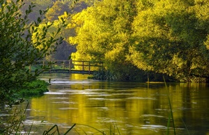 Autumn sunrise on the River Itchen