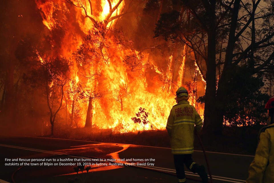 Wildfires in Sydney, Australia