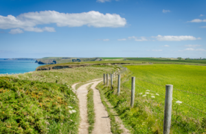 Clifftop along a path in North Cornwall