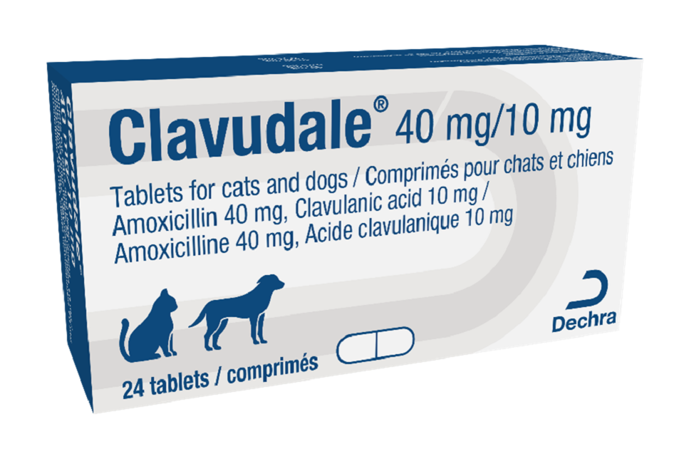 Product defect recall alert:  Clavudale 40 mg/10 mg tablets for cats and dogs