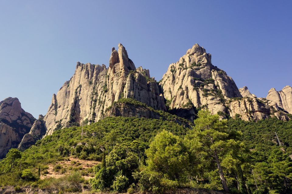 Boost for nature recovery as new multi million pound grant scheme opens  