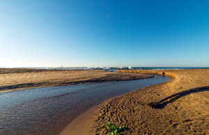 View over a coastal estuary