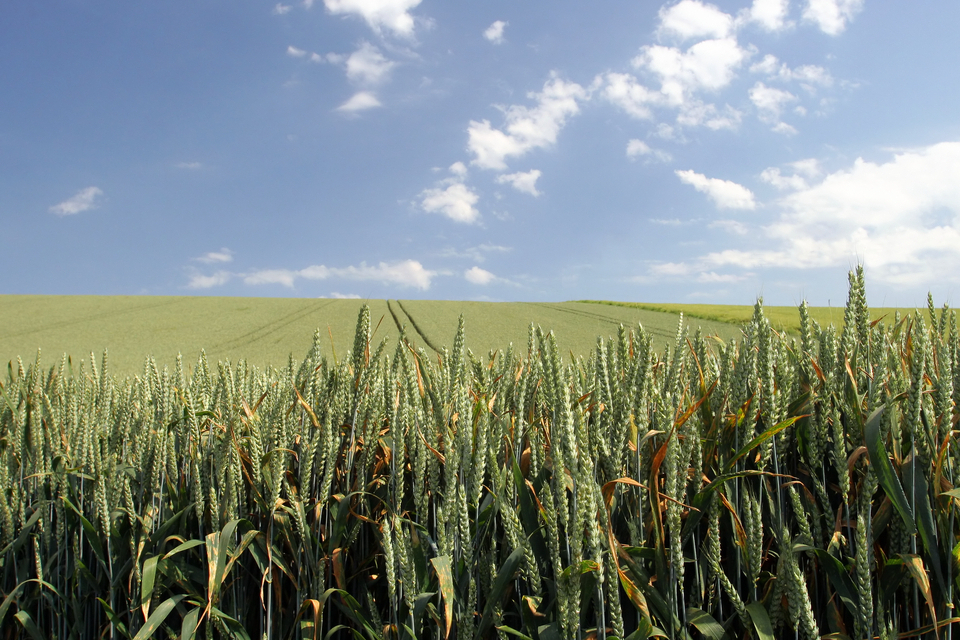 UK leads the way on agricultural innovation at Washington D.C. Climate Summit