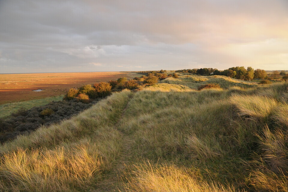 National Nature Reserves Week begins with a call to get hands on with nature