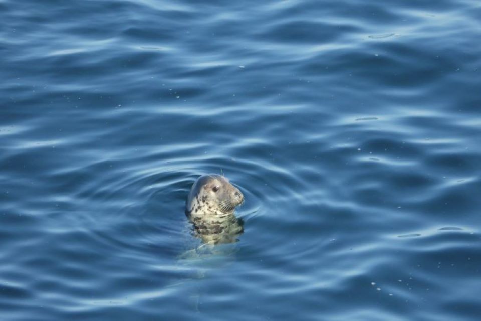 First national Marine and Coastal Wildlife Code launched