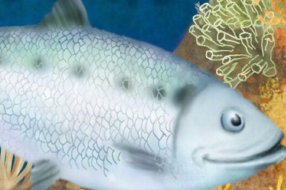 Allis the Shad Who Wouldn’t Give Up launches on World Ocean Day