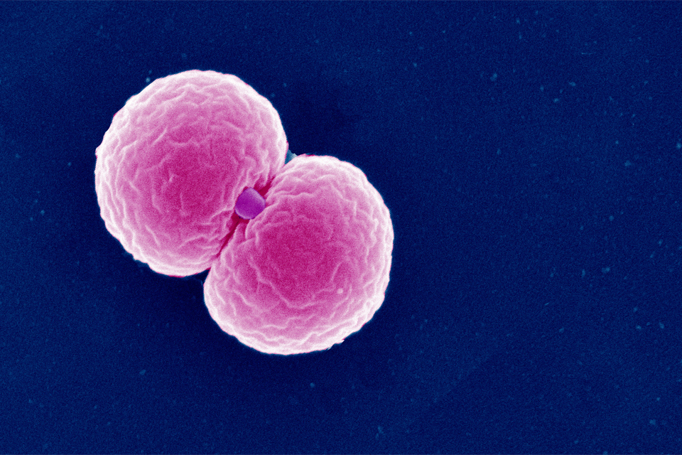 Gonorrhoea and syphilis at record levels in 2022