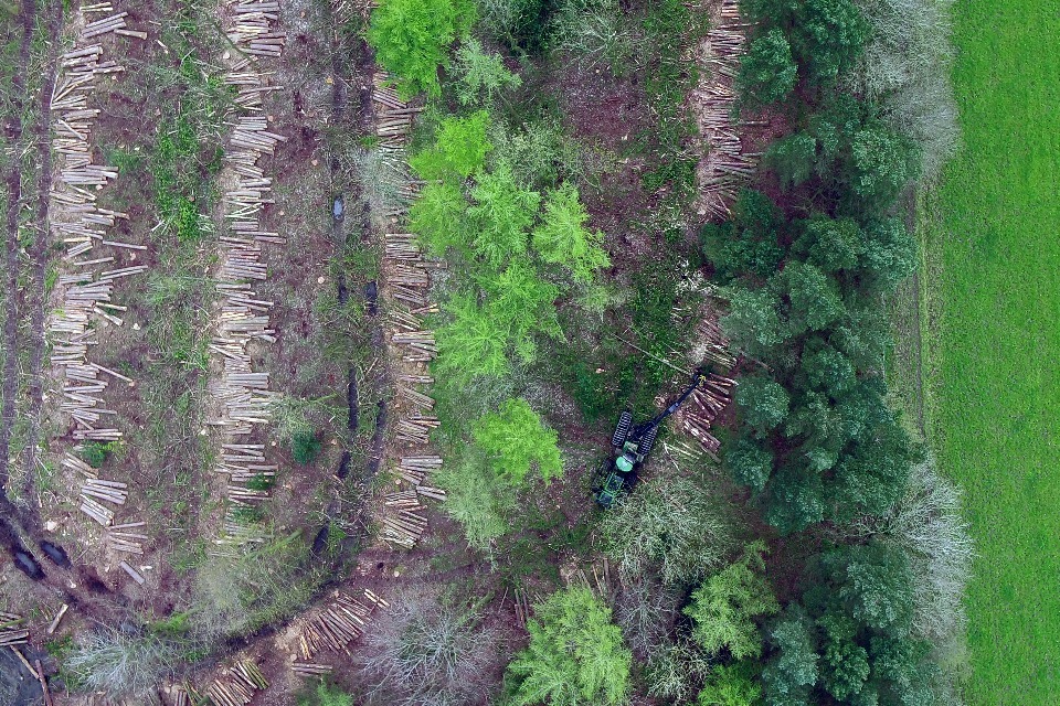 Nature recovery project to restore previously ancient woodland