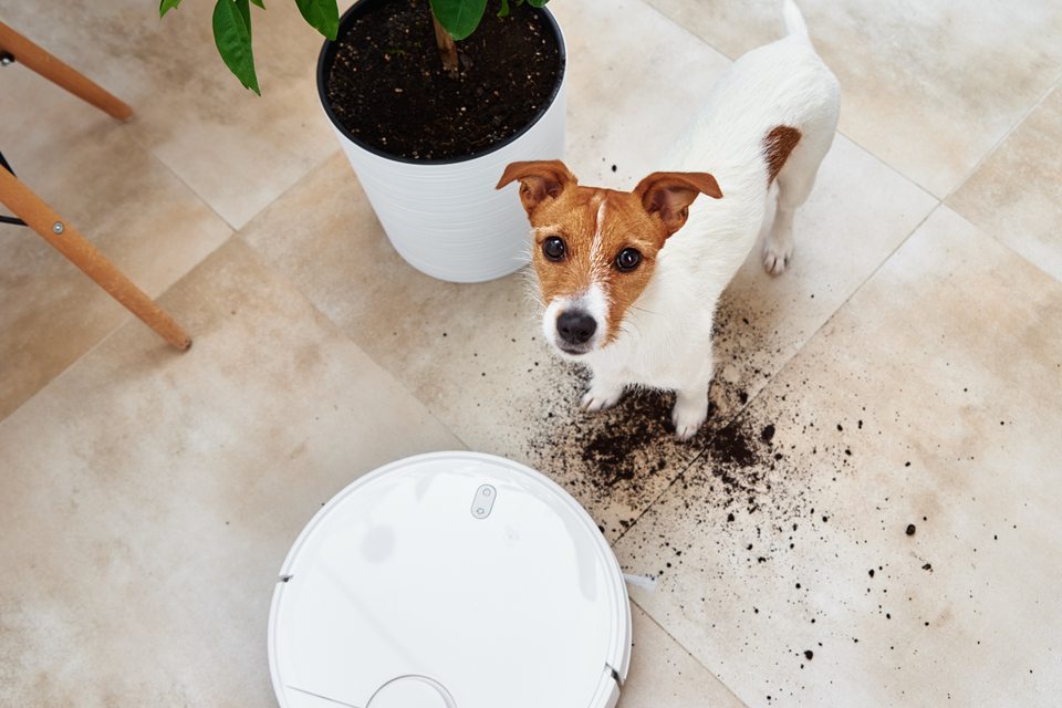 Amazon’s purchase of Roomba maker cleared by CMA