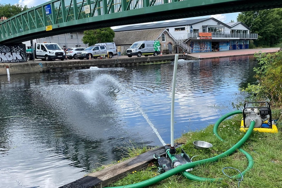 Public urged to help protect fish this summer