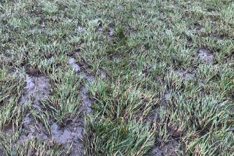 Farming business fined after land spreading pollutes stream