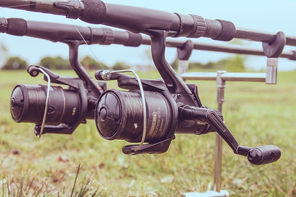 Anglers catch half a dozen fines for fishing without a licence