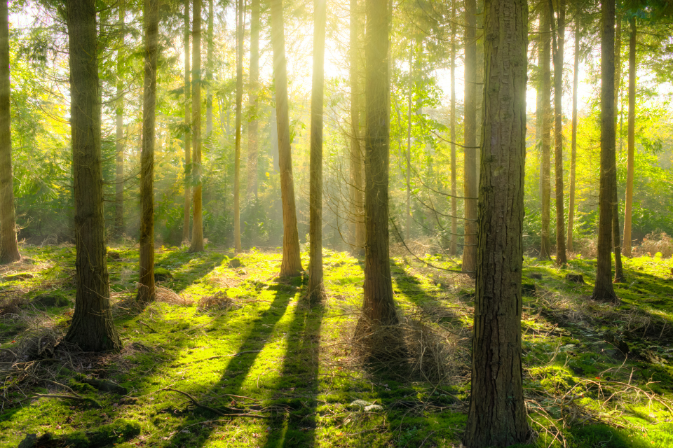 Government sets out adaptation programme to tackle climate impact